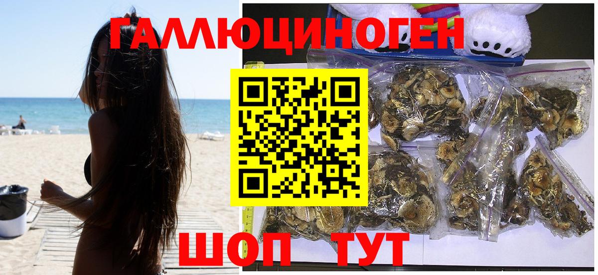Галлюциногенные грибы MAGIC MUSHROOMS  Вход с VPN  Холмск 